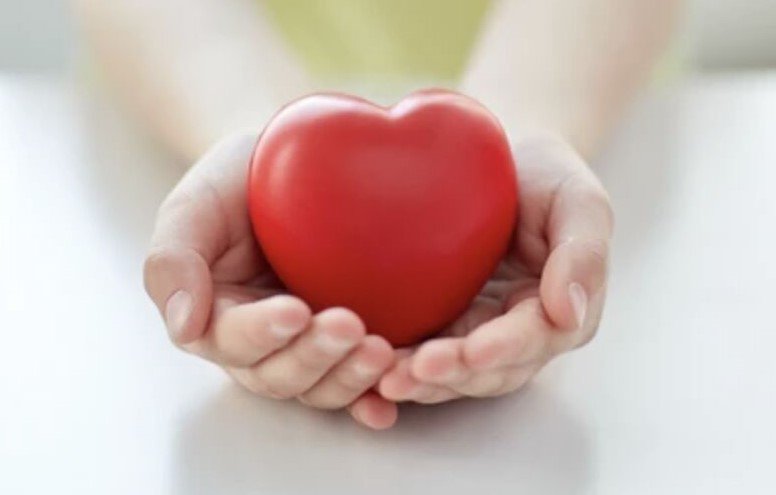 Express Post | Rolta India strips off its...